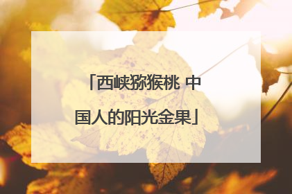 西峡猕猴桃 中国人的阳光金果