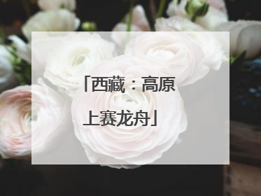 西藏：高原上赛龙舟