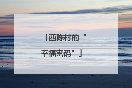 西陈村的“幸福密码”
