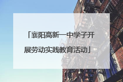 襄阳高新一中学子开展劳动实践教育活动