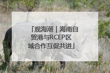 观海潮｜海南自贸港与RCEP区域合作互促共进