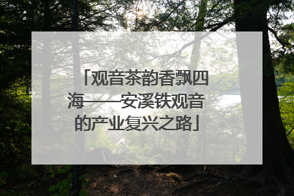 观音茶韵香飘四海——安溪铁观音的产业复兴之路