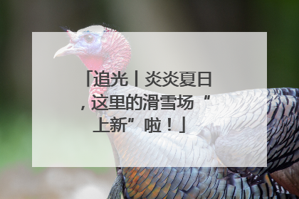 追光丨炎炎夏日，这里的滑雪场“上新”啦！