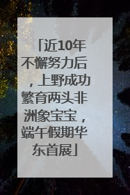 近10年不懈努力后，上野成功繁育两头非洲象宝宝，端午假期华东首展