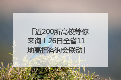 近200所高校等你来询！26日全省11地高招咨询会联动