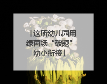 这所幼儿园用绿茵场“破题”幼小衔接