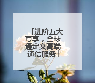 进阶五大尊享，全球通定义高端通信服务