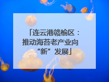 连云港赣榆区：推动海苔老产业向“新”发展