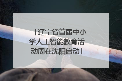 辽宁省首届中小学人工智能教育活动周在沈阳启动