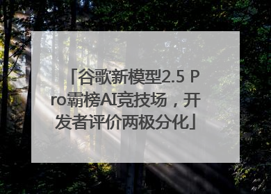 谷歌新模型2.5 Pro霸榜AI竞技场，开发者评价两极分化