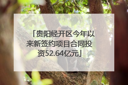 贵阳经开区今年以来新签约项目合同投资52.64亿元