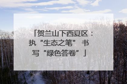 贺兰山下西夏区：执“生态之笔” 书写“绿色答卷”