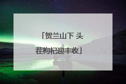 贺兰山下 头茬枸杞迎丰收