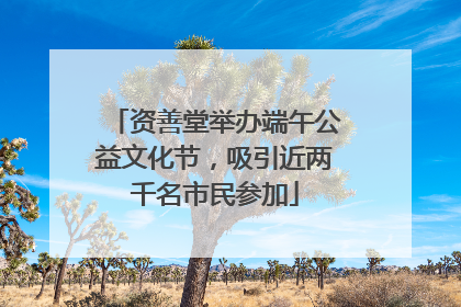 资善堂举办端午公益文化节，吸引近两千名市民参加