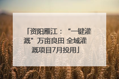 资阳雁江：“一键灌溉”万亩良田 全域灌溉项目7月投用