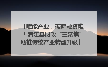 赋能产业，破解融资难！浦江县财政“三聚焦”助推传统产业转型升级