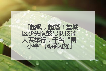超飒，超燃！望城区少先队鼓号队技能大赛举行，千名“雷小锋”风采闪耀