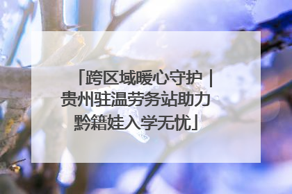 跨区域暖心守护｜贵州驻温劳务站助力黔籍娃入学无忧