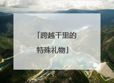 跨越千里的特殊礼物