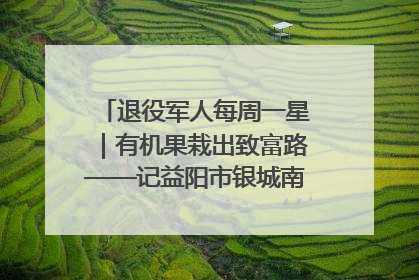 退役军人每周一星｜有机果栽出致富路——记益阳市银城南湖蔬果农民专业合作社总经理晏桂明