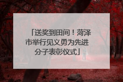 送奖到田间！菏泽市举行见义勇为先进分子表彰仪式