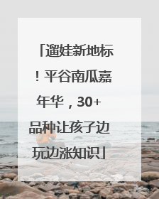 遛娃新地标！平谷南瓜嘉年华，30+品种让孩子边玩边涨知识