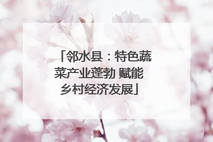 邻水县：特色蔬菜产业蓬勃 赋能乡村经济发展