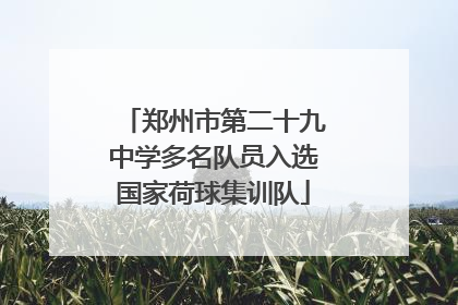 郑州市第二十九中学多名队员入选国家荷球集训队