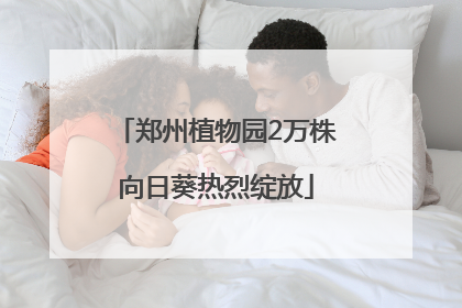 郑州植物园2万株向日葵热烈绽放