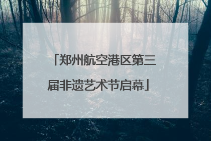 郑州航空港区第三届非遗艺术节启幕