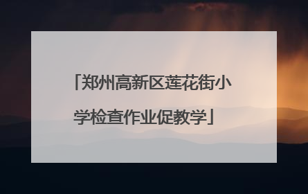 郑州高新区莲花街小学检查作业促教学