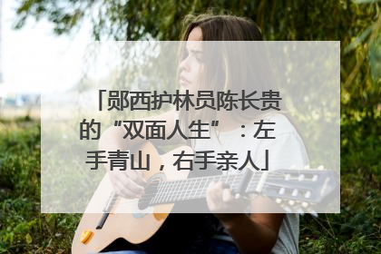 郧西护林员陈长贵的“双面人生”：左手青山，右手亲人