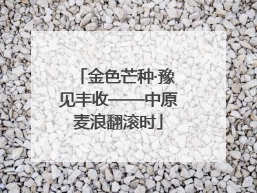 金色芒种·豫见丰收——中原麦浪翻滚时