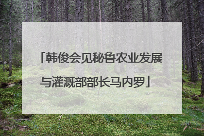 韩俊会见秘鲁农业发展与灌溉部部长马内罗
