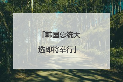 韩国总统大选即将举行