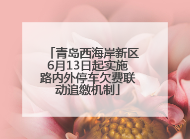 青岛西海岸新区6月13日起实施路内外停车欠费联动追缴机制