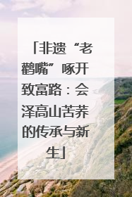 非遗“老鹳嘴”啄开致富路：会泽高山苦荞的传承与新生