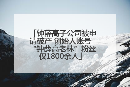 钟薛高子公司被申请破产 创始人账号“钟薛高老林”粉丝仅1800余人