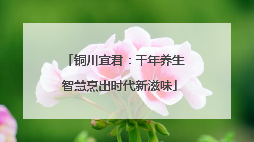 铜川宜君：千年养生智慧烹出时代新滋味