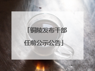 铜陵发布干部任前公示公告