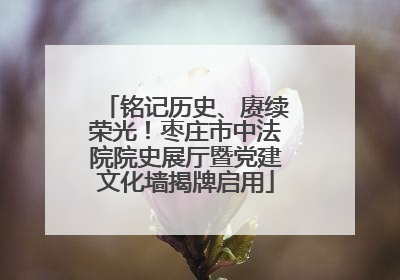 铭记历史、赓续荣光！枣庄市中法院院史展厅暨党建文化墙揭牌启用