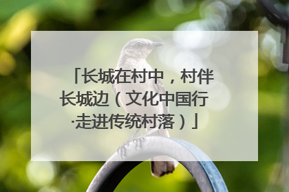 长城在村中，村伴长城边（文化中国行·走进传统村落）