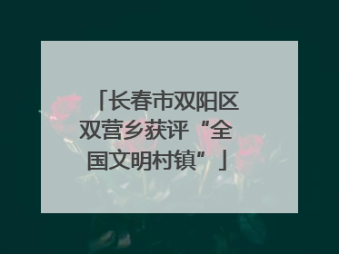 长春市双阳区双营乡获评“全国文明村镇”
