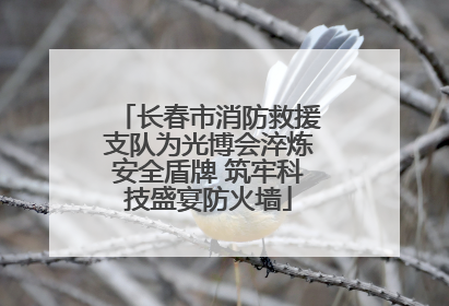 长春市消防救援支队为光博会淬炼安全盾牌 筑牢科技盛宴防火墙