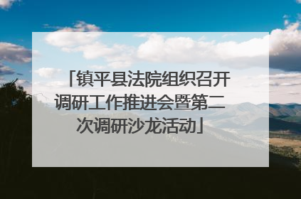 镇平县法院组织召开调研工作推进会暨第二次调研沙龙活动