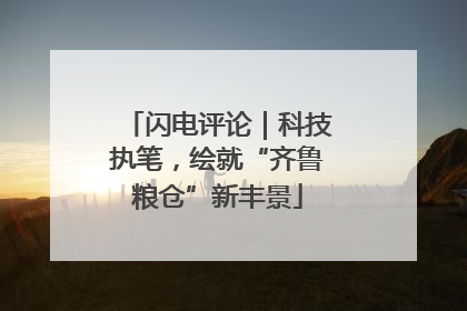 闪电评论｜科技执笔，绘就“齐鲁粮仓”新丰景