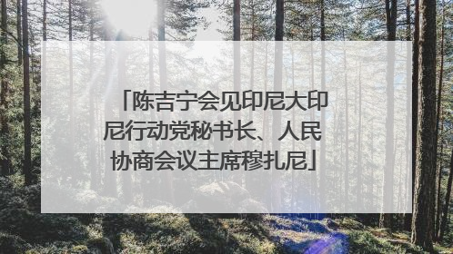 陈吉宁会见印尼大印尼行动党秘书长、人民协商会议主席穆扎尼