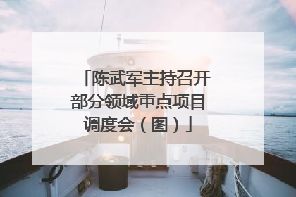 陈武军主持召开部分领域重点项目调度会（图）