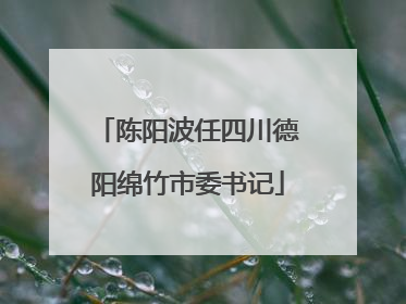 陈阳波任四川德阳绵竹市委书记