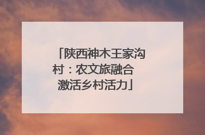 陕西神木王家沟村：农文旅融合 激活乡村活力